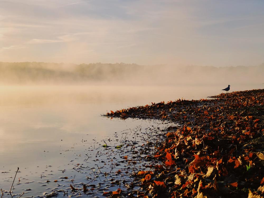 late autumn